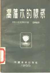 乔灌木的根系