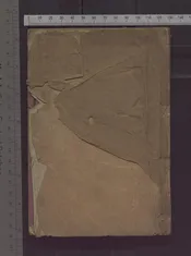 著庵先生年譜   一卷