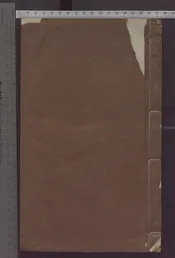 忠武公年譜   一卷