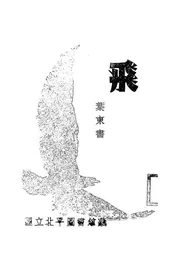 飞