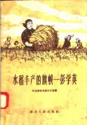 水稻丰产的旗帜-彭学英