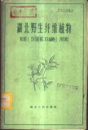 湖北野生纤维植物