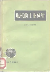 电机的工业试验