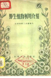 野生植物利用介绍  第1集