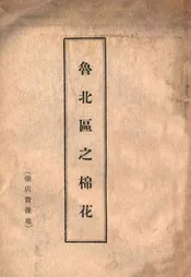 鲁北区之棉花  张店北后地