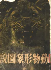 动物形象图说