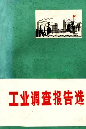 工业调查报告选