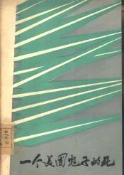 一个美国鬼子的死