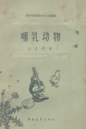 哺乳动物