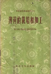 薄荷的栽培和加工