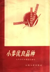 小麦优良品种