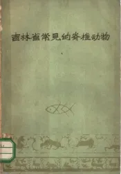 吉林省常见的脊椎动物