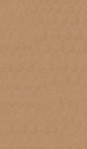 素问灵柩类纂约注  下