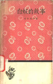 白奴的故事