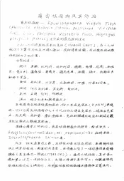 植物检疫训练班讲义  葡萄根瘤蚜及其防治