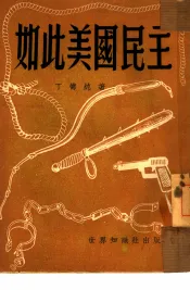 如此美国民主