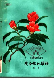 广西绿化植物  第1集