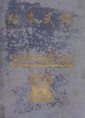 精武本纪