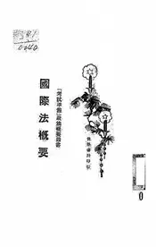 国际法概要