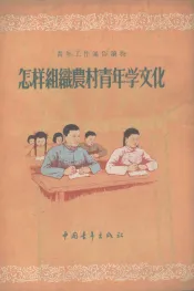 怎样组织农村青年学文化