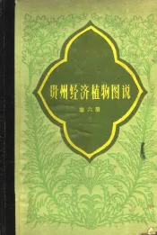贵州经济植物图说  第6册