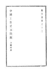 中国工业资本问题