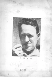 苏联名作家专集  第2辑  萧洛霍夫