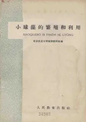 小球藻的繁殖和利用
