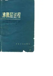 沸腾层过程