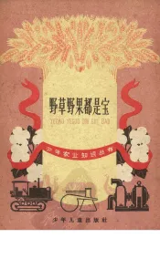 野草野果都是宝