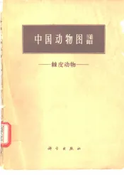 中国动物图谱  棘皮动物