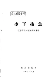 冰下捕鱼