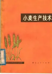 小麦生产技术