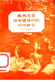 鹅、鸭毛是国家建设中的有用财宝