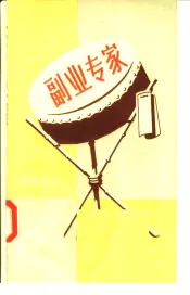 副业专家  演唱材料