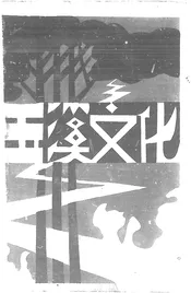 玉溪文化