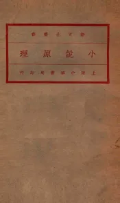 新文化丛书  小说原理