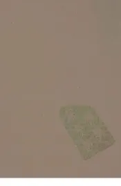 八旗通志初集  27