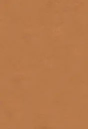 法律大辞书补编  法律文件表式  世界法家人名录  再版