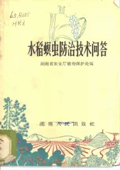水稻螟虫防治技术问答