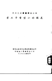 美国的小型电子工业