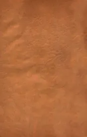 宋大家苏文忠公文钞  卷1-2