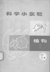 科学小实验  植物  1