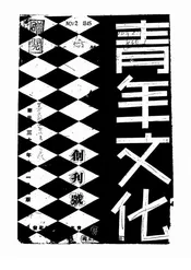 青年文化