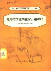 让地方工业的花朵开遍湖北