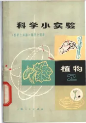 科学小实验  植物  2