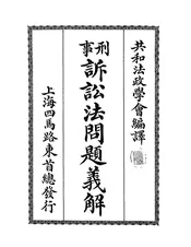 刑事诉讼法问题义解