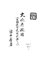 文化与政治