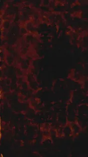 近代西方经济学家及其理论