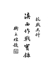 滇西作战实录